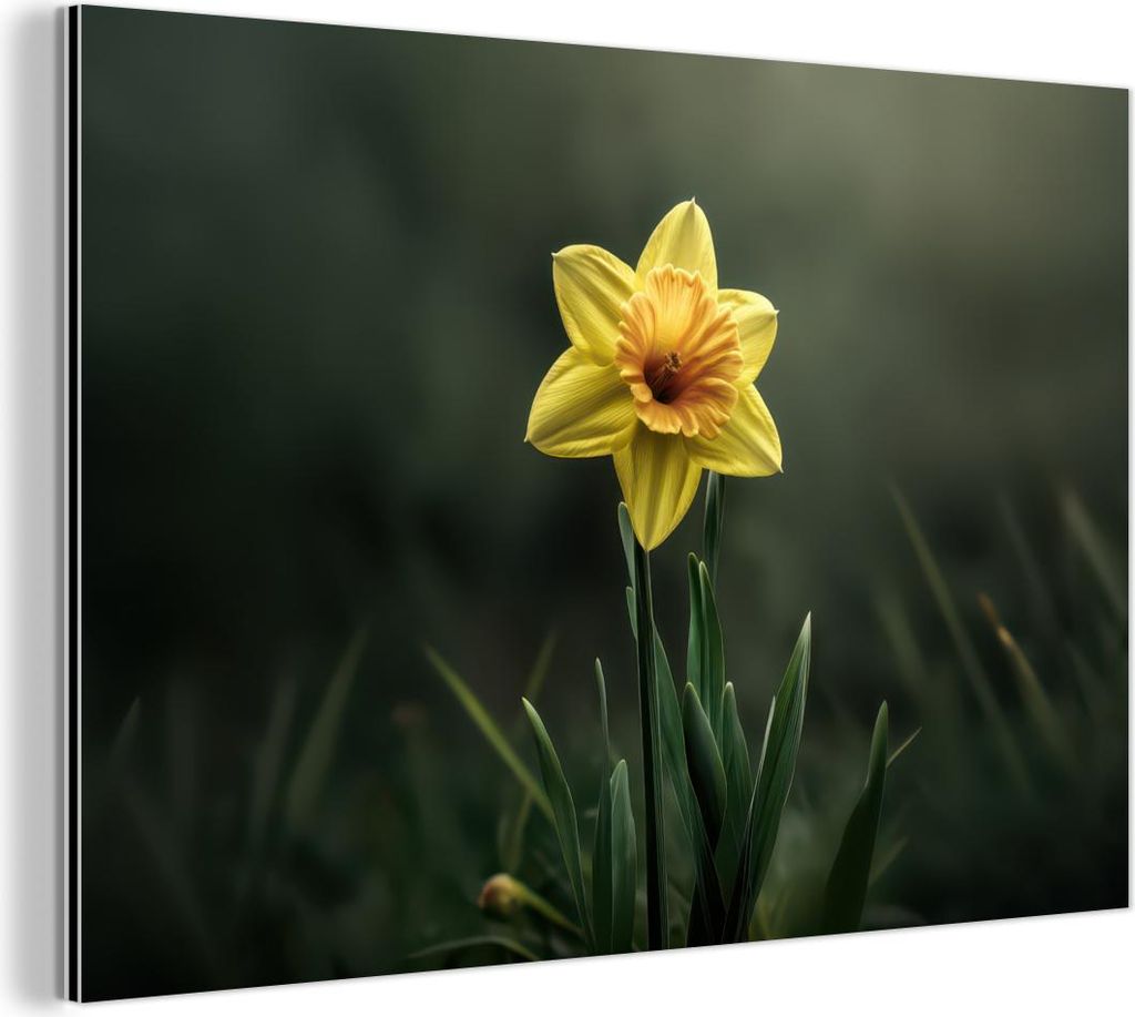 MuchoWow Wanddekoration Metall Metallbild Wandkunst 90x60 cm Blume - Narzisse - Gras - Gelb MuchoWow Aluminium Gemälde - Wandbilder
