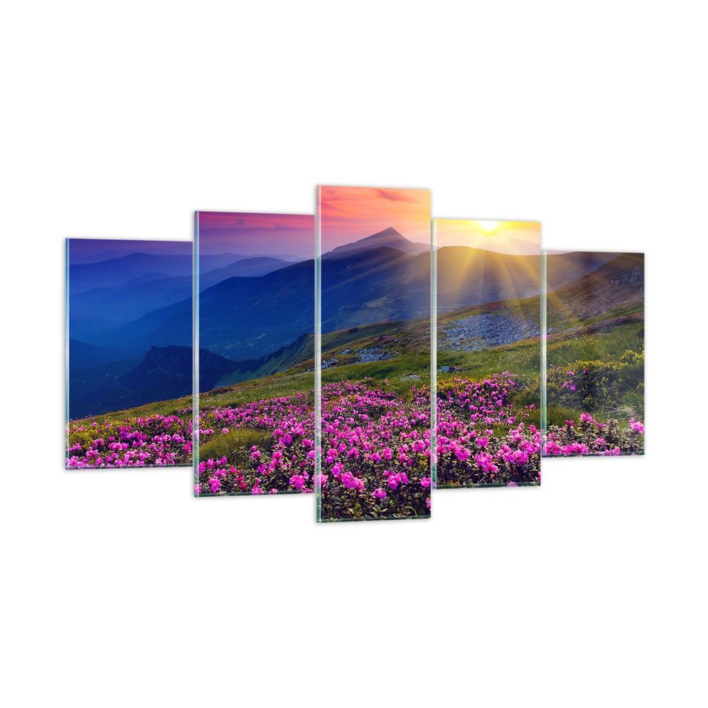 Bilder auf glas - Wiese Berge Landschaft - 160x85cm - Glasbilder - Wandbilder - Kunstdruck - zum Aufhängen bereit - Wanddekoration aus Glas - Glas...