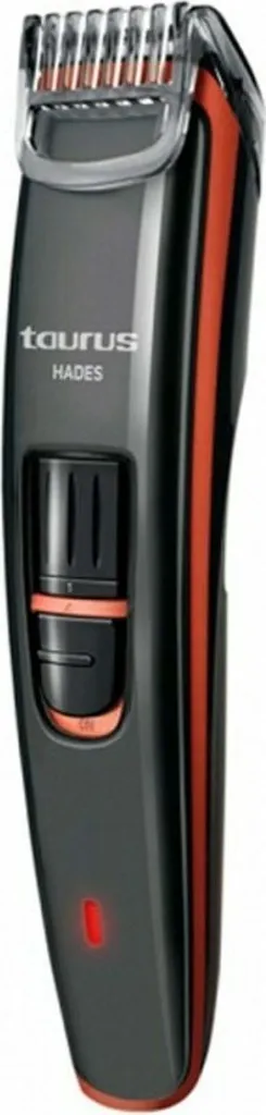 Tondeuse à barbe Taurus 222572 Inox pour en finir avec les irritations