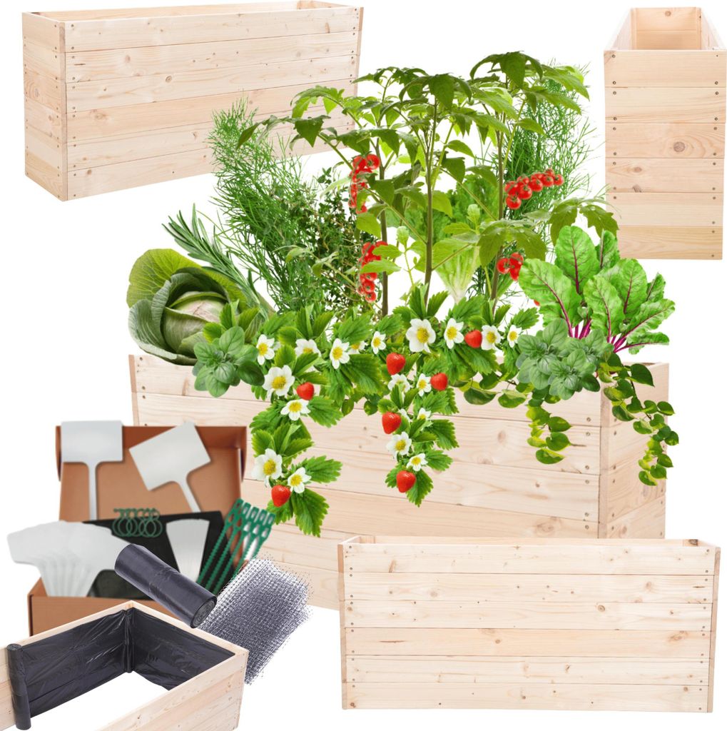 MODO24 Hochbeet Holz, Pflanzkasten, Massivholz, Kiefer, Kräuterbeet, Blumenkasten, Garten, Terrasse, 54x120x30 cm, Natur, ZP06