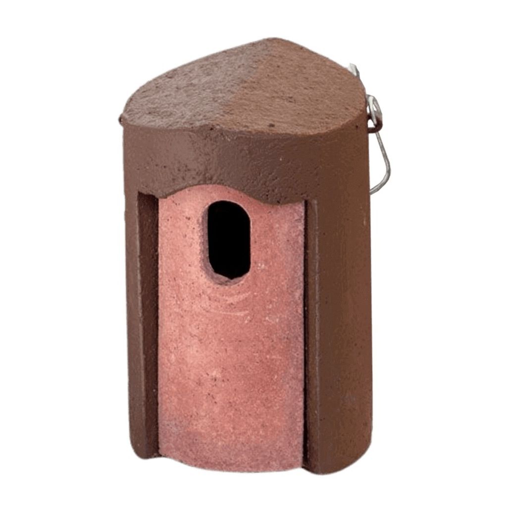 Schwegler Nichoir 1B brun ovale 29 x 55 mm Image du produit 