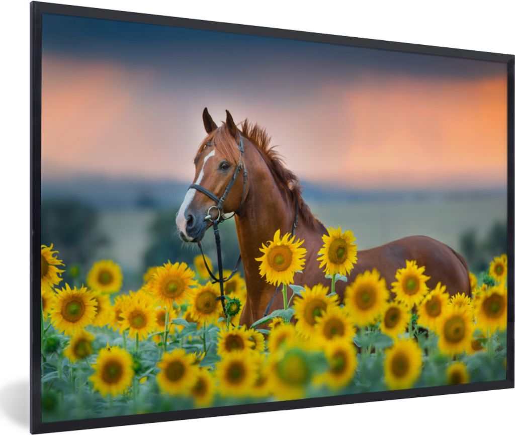 MuchoWow MuchoWow Gerahmtes Poster Pferd - Sonnenblume - Himmel - Pastell 60x40 cm - Poster mit zchwarzem Bilderrahmen - Printing - Wanddeko Sc...