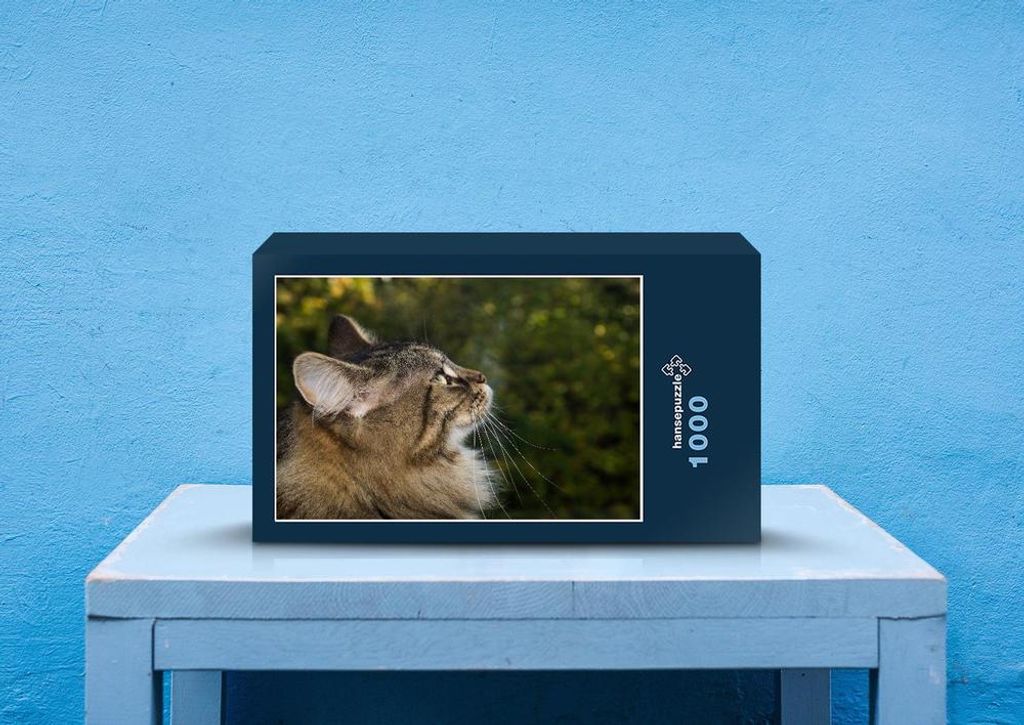 hansepuzzle 73748 - Katze Puzzle, 1000 Teile, Tierwelt, 60,0 x 46,0cm mit hochwertiger Aufbewahrung, Kartonbox und wiederverschließbarem Beutel
