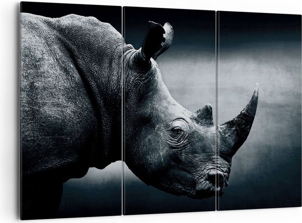Bild auf Leinwand - Leinwandbild - 3 Teile - Nashorn Schwarzweiß Porträt - 165x110cm - Wand Bild - Wanddeko - Wandbilder - Leinwanddruck - Bilder...