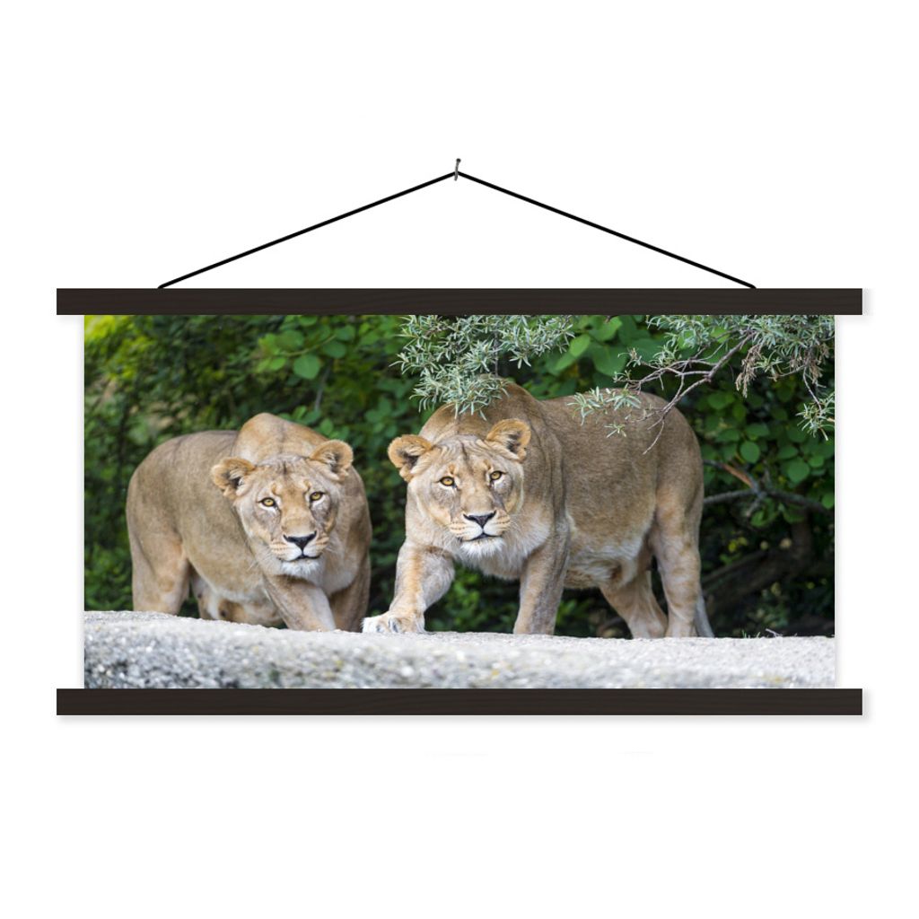 MuchoWow Textilposter Löwinnen - Wilde Tiere - Jagd 90x45 cm mit schwarzem Rahmen - Klemmleisten