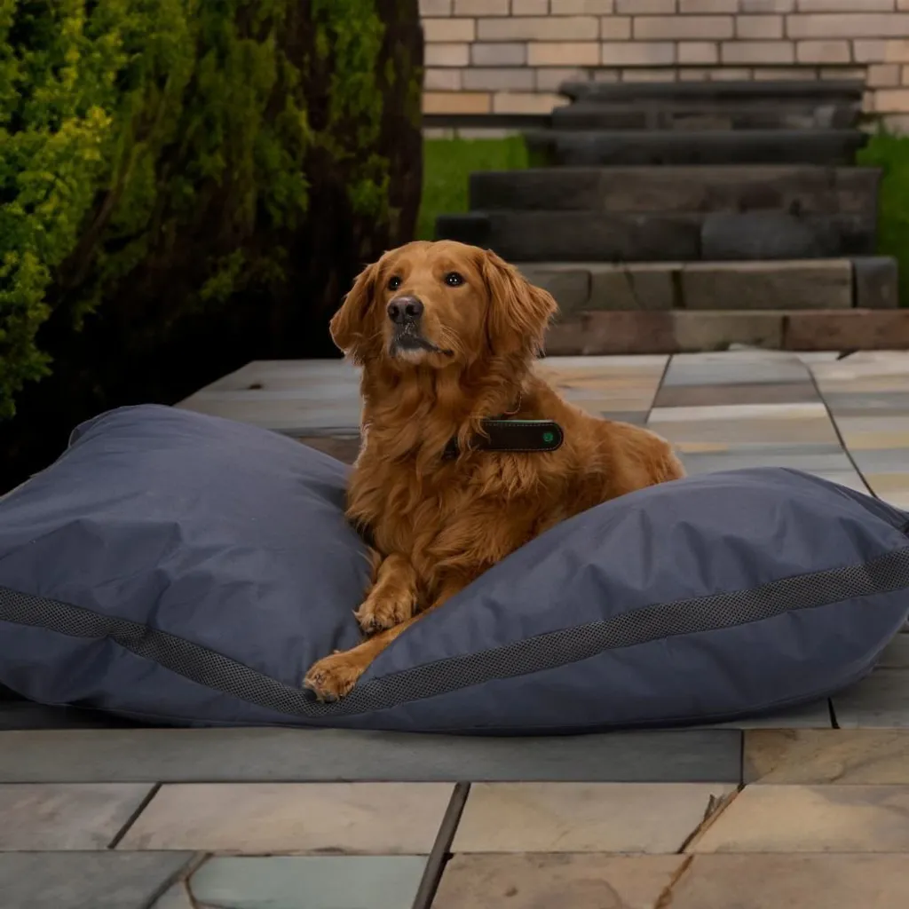 Coussin Grand Chien 120x80 cm Maxxpro - Solution Déhoussable Gris Anthra