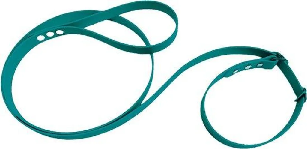 Collier martingale bleu sarcelle en sangle imperméable haute résistance