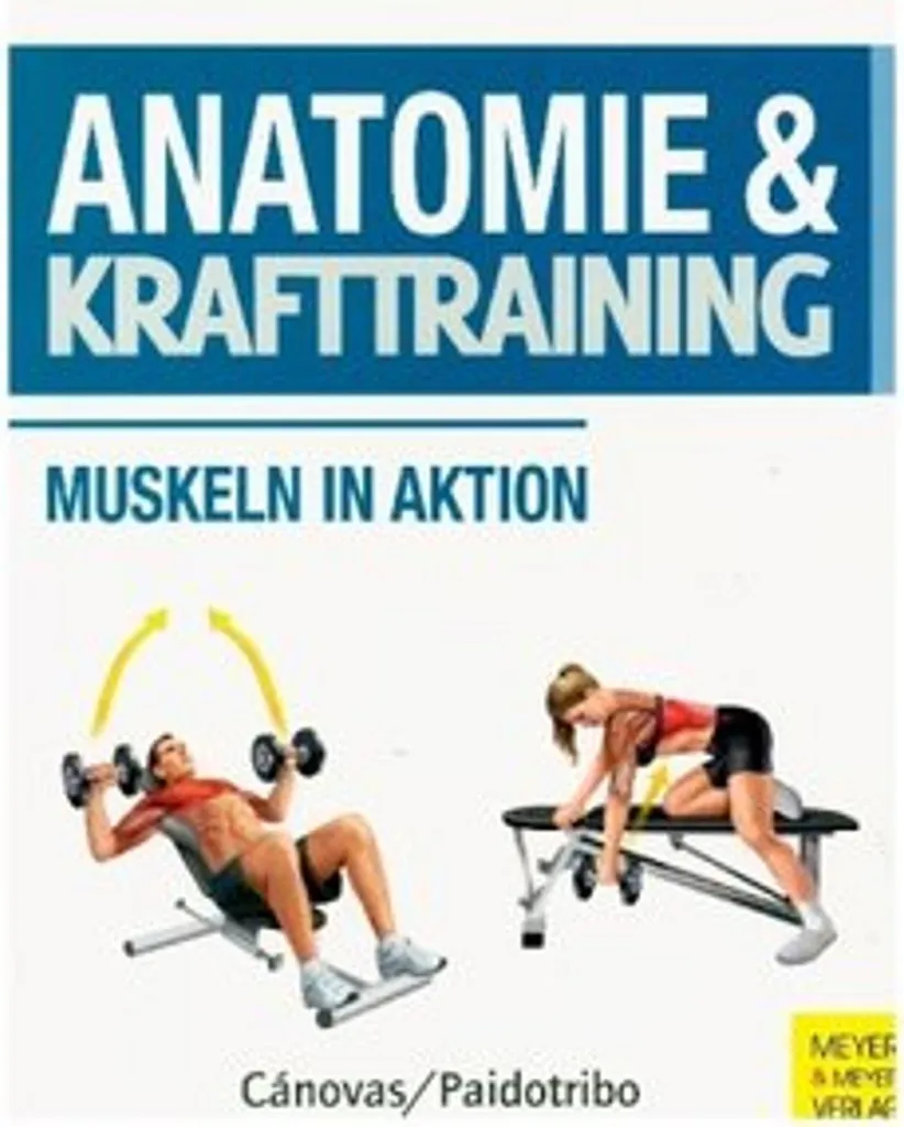 Anatomie Musculation : Planches Détaillées et Analyses de Mouvements Pro - 2
