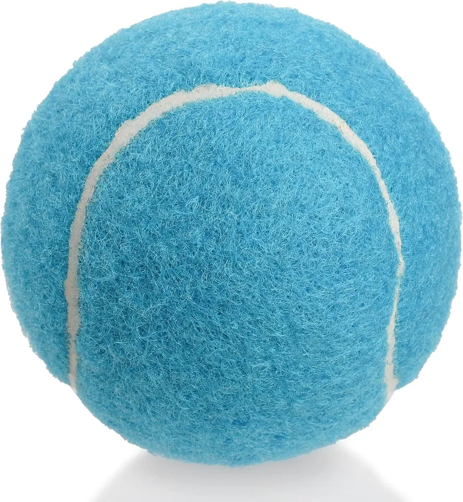 20 balles de tennis avec sac de transport en mesh bleu pour l'entraînement