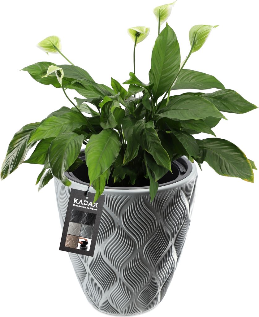 KADAX Blumentopf mit Einsatz "Jesi", Pflanzkübel aus Kunststoff, UV-Resistenter Topf, niedrig, 40 cm, Grau