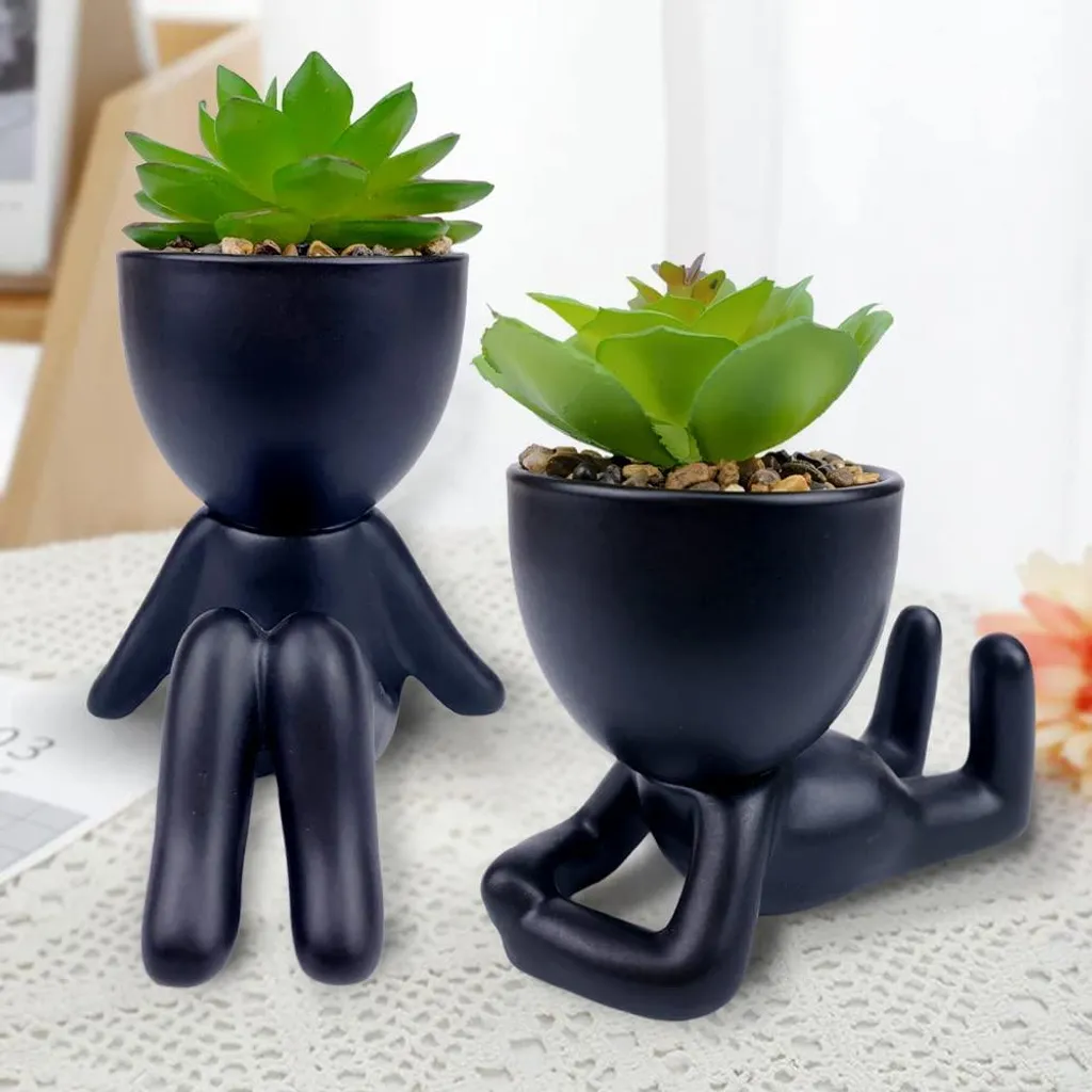 Plantes succulentes artificielles réalistes : fini les plantes mortes !