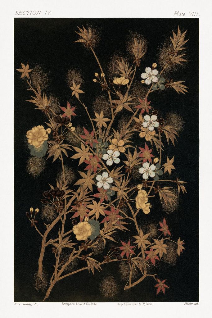 Plakat 30x45cm Japanische Herbstblumen, G.A. Audsley für das Wohnzimmer