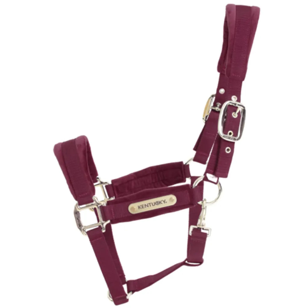 Kentucky Horsewear Cavezza Velvet - Protezione e Stile in Scuderia