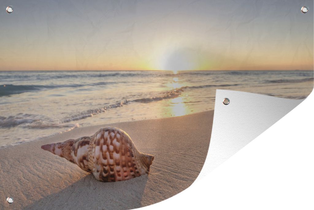 MuchoWow 120x80 cm Outdoor-Poster Gartendeko Sichtschutz Garten Poster für den Garten Muschel - Strand - Himmel