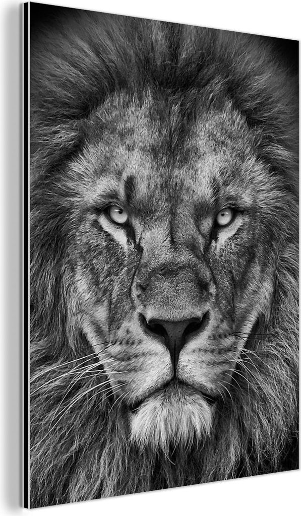MuchoWow Wanddekoration Metall Metallbild Wandkunst 60x80 cm Tiere - Löwe - Schwarz - Weiß - Porträt MuchoWow Aluminium Gemälde - Wanddekoratio...
