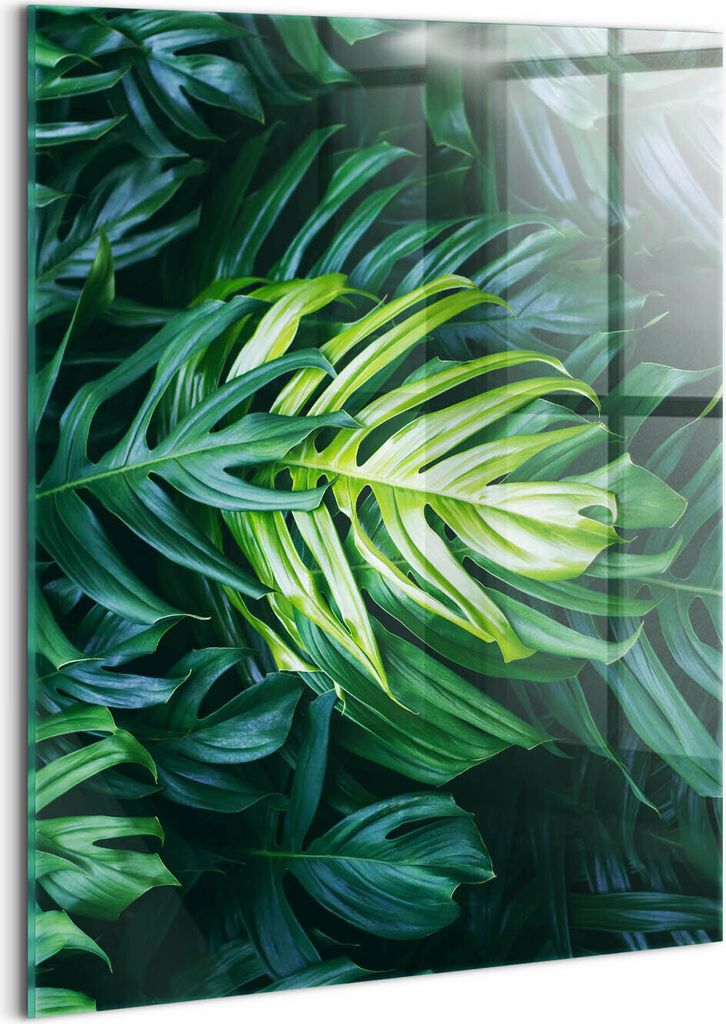 Designer Glasbild - Wandbild - Glas Bild - 60x80 cm - Wilde Monstera-Blätter