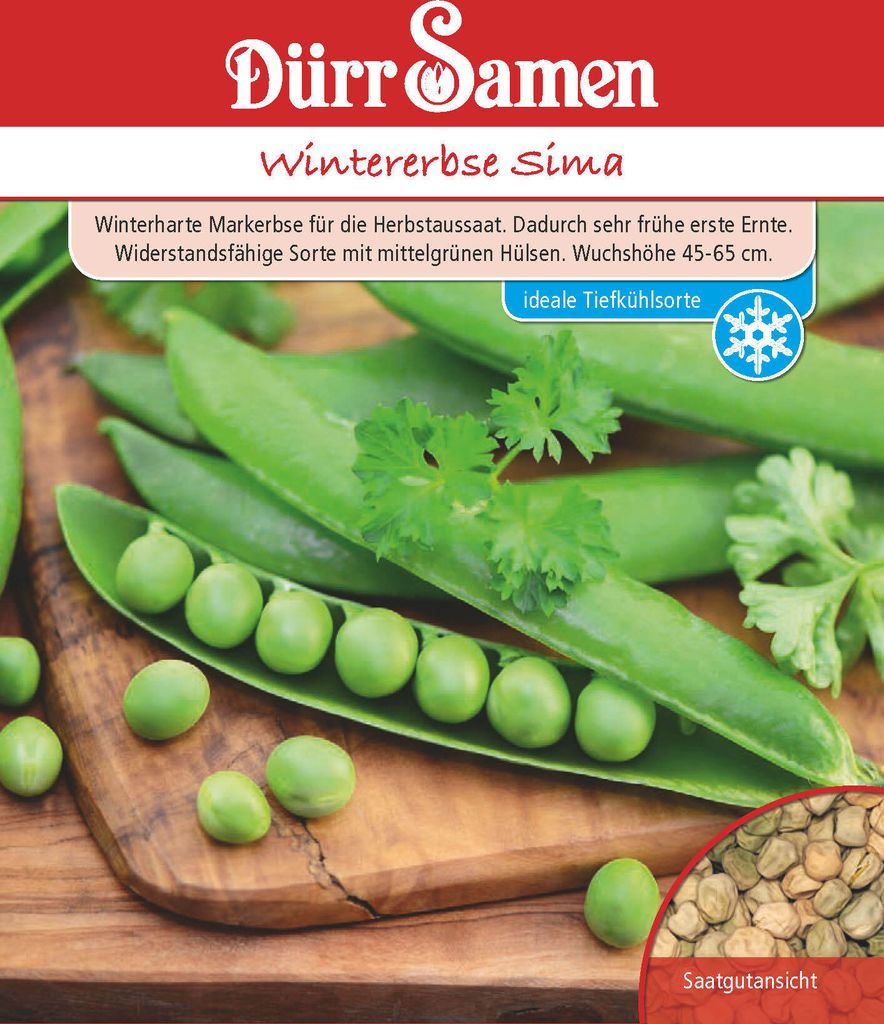 Dürr-Samen - Wintererbsen Sima - Saatgut - 4354 Produktbild 4