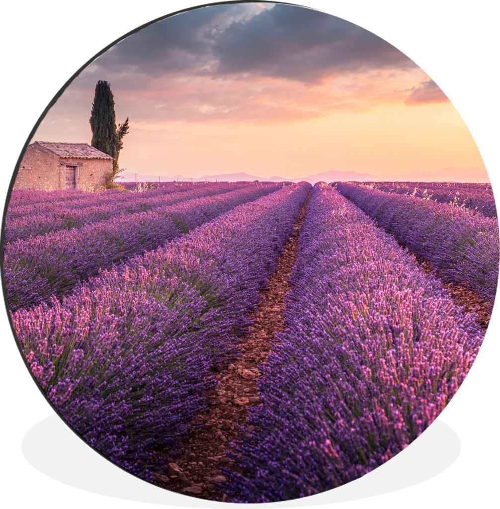 MuchoWow Aluminium Wandkreis Lavendel - Blumen - Lila - Feld Ø 60 cm Wanddeko Modern Wohnzimmer - Wand Kreis - Wandbild - Schlafzimmer - Alumini...