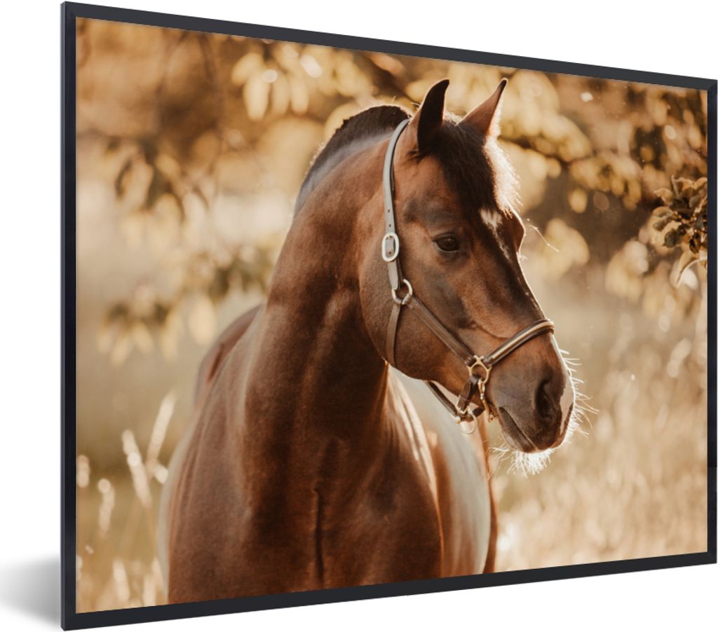 MuchoWow Gerahmtes Poster Pferd - Sonne - Porträt - Natur - Braun 80x60 cm - Poster mit Schwarzem Bilderrahmen Wandposter Rahmen Foto Bilder - S...