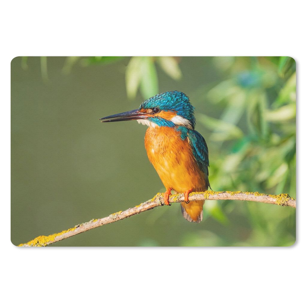 MuchoWow Mauspad Mousepad Vogel - Eisvogel - Zweig - Blätter - Moos 27x18 cm - Mousepads - Maus Mat - Pad - Mausunterlage - Büroartikel - Desk ...
