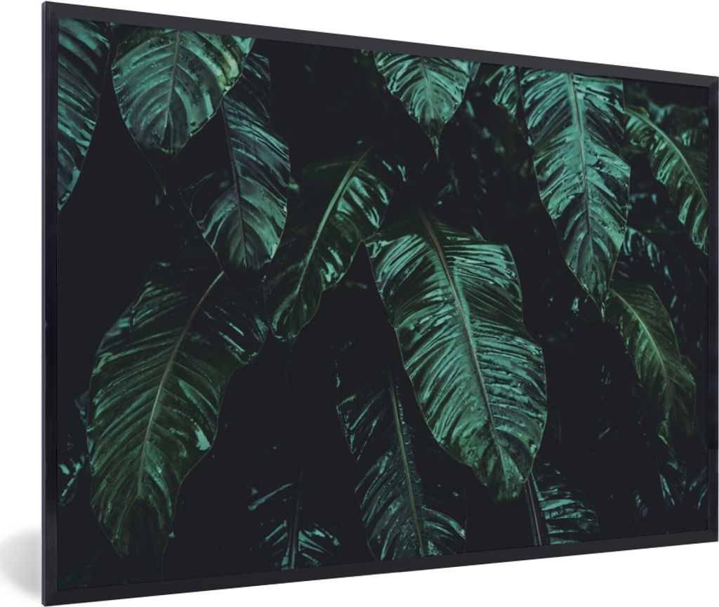 MuchoWow Gerahmtes Poster Dschungel - Palme - Blätter - Tropisch 90x60 cm - Poster mit Schwarzem Bilderrahmen Wandposter Rahmen Foto Bilder - Fo...