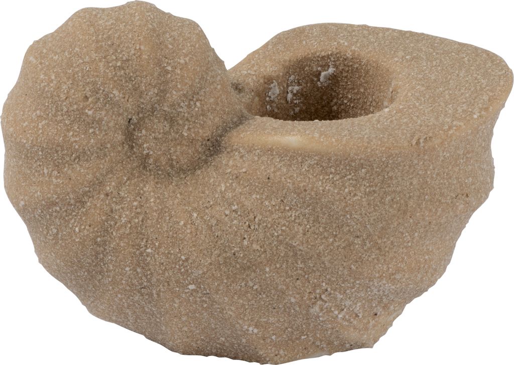 Greengate Conch Muschel Kerzenhalter beige 19cm Set2