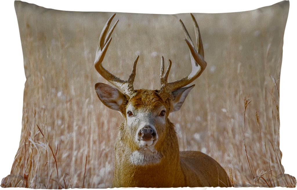 MuchoWow Outdoor Kissen - Hirsche - Gras - Herbst - Tiere - Natur - Geweih - 50x30 cm - Wetterfest - Lounge Kissen - Sofa kissen - Wohnzimmer Dek...