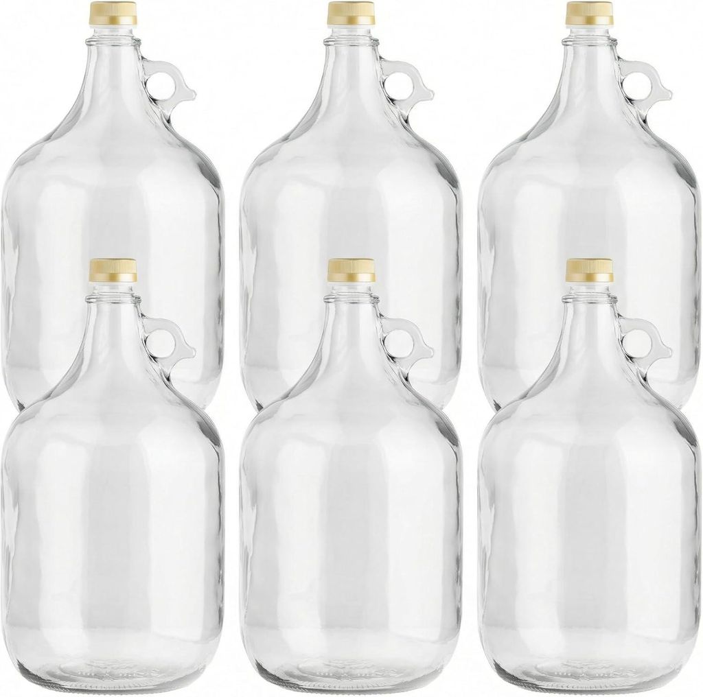 lilawelt24 6 x 5L Glasballon (Gallone) mit Rundgriff & Produktbild 