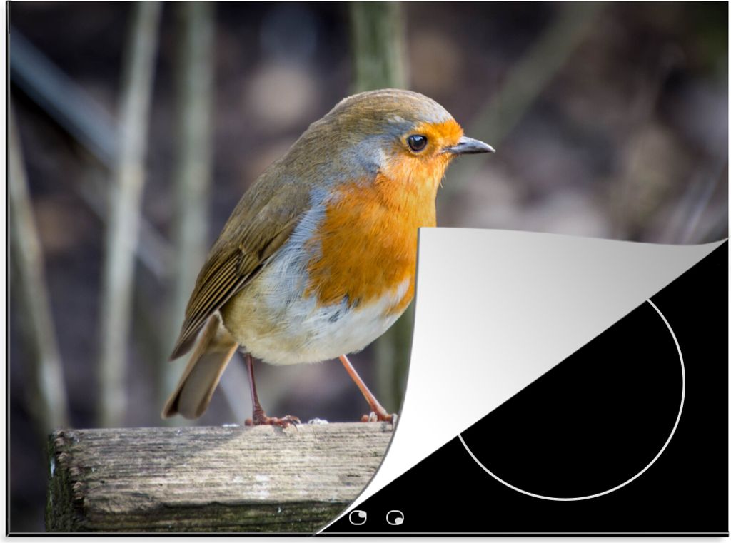 KitchenYeah Herdabdeckplatte Rotkehlchen - Winter - Holz , 77x59cm, Küche Deko, Glaskeramikkochfeld Herdabdeckung, Abdeckplatte fùr Kochfeld