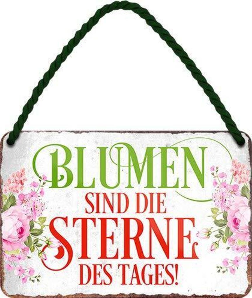 Blechschild Lustiger Spruch “Blumen sind die Sterne" Deko Schild 18x12 cm – 18x12cm / Weiß / Garten