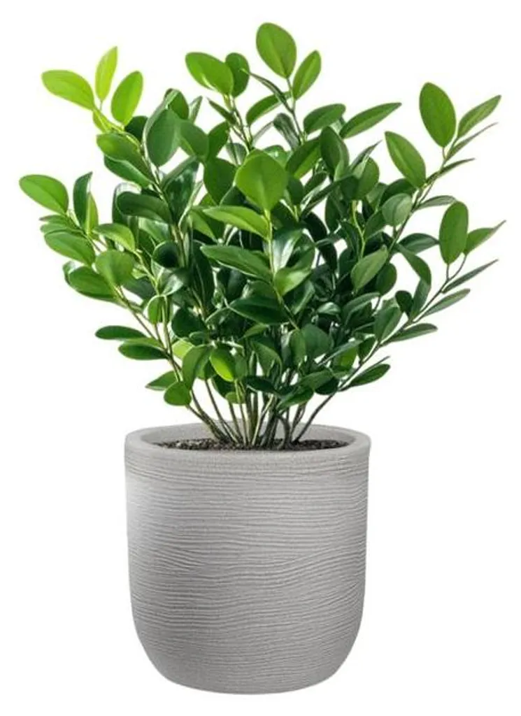 Vase déco beige 35cm pour plantes vertes : idéal balcon, véranda et salon