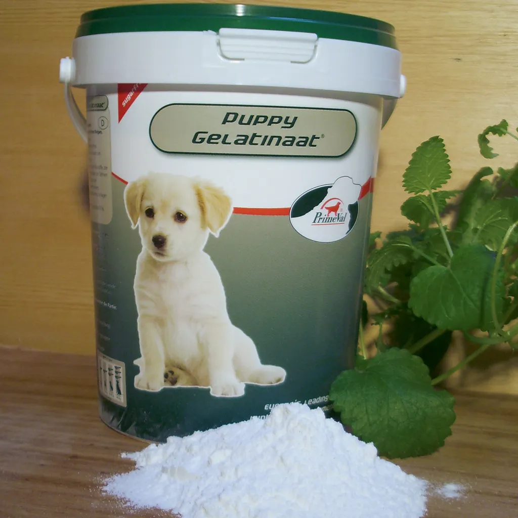 Chiot à Gélatine Primitive : l'anti-stress sensoriel pour petits et grands