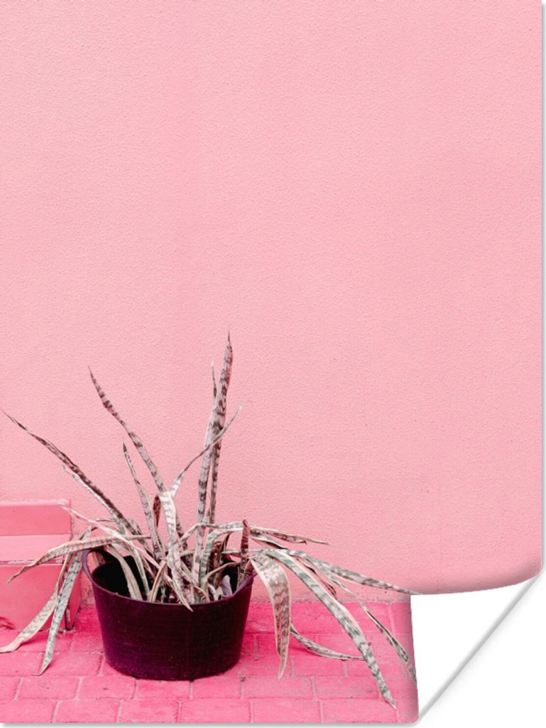MuchoWow Poster Sommer - Rosa - Pflanzen 90x120 cm - Wohnzimmer