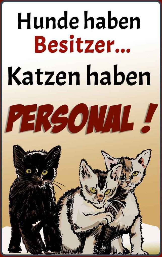 vianmo Holzschild 18x12 cm Hunde haben Besitzer Katzen Tier Haustier