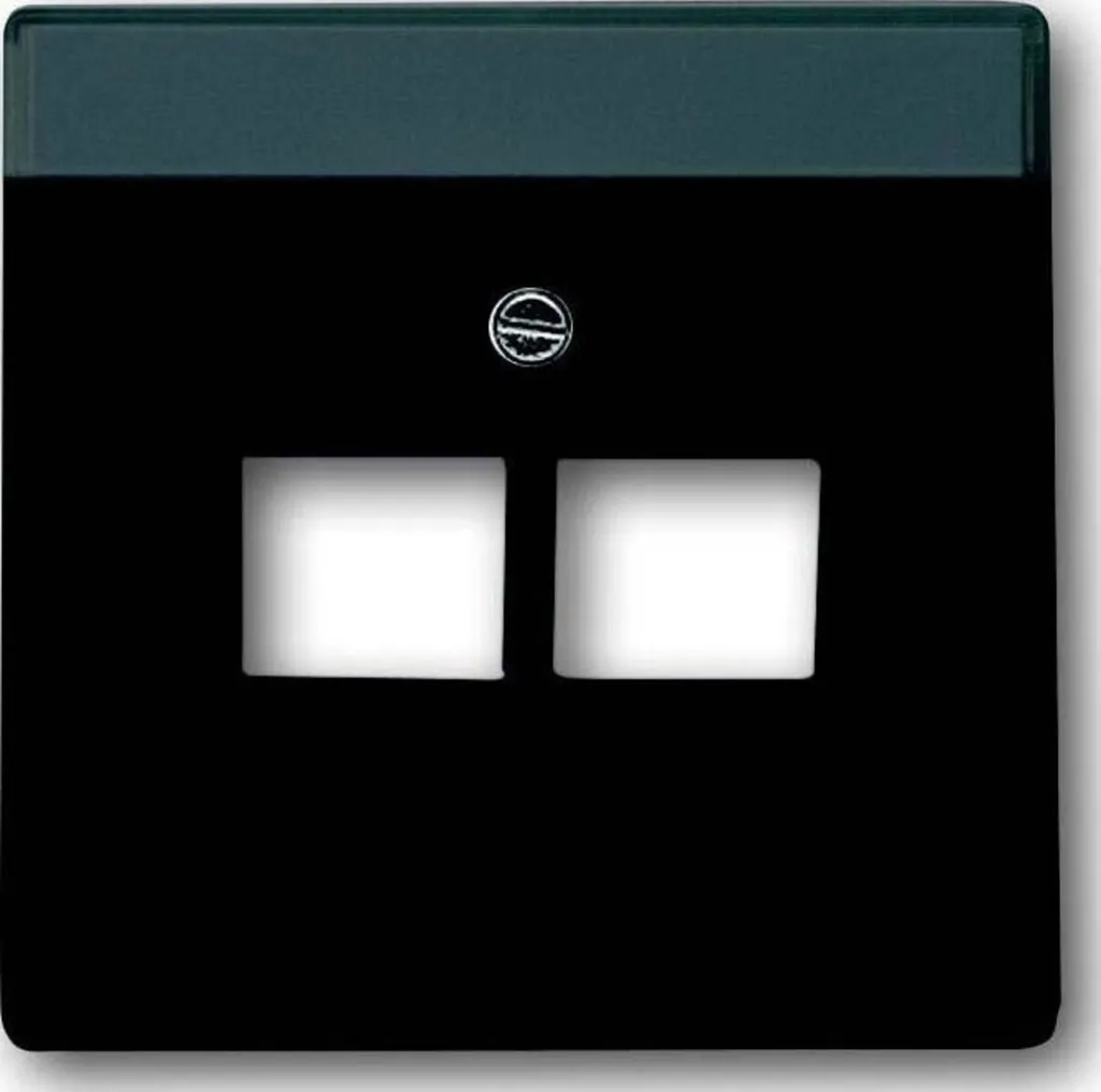 Enjoliveur de Prise Communication UAE IAE 2 Sorties Busch-Jaeger Anthracite