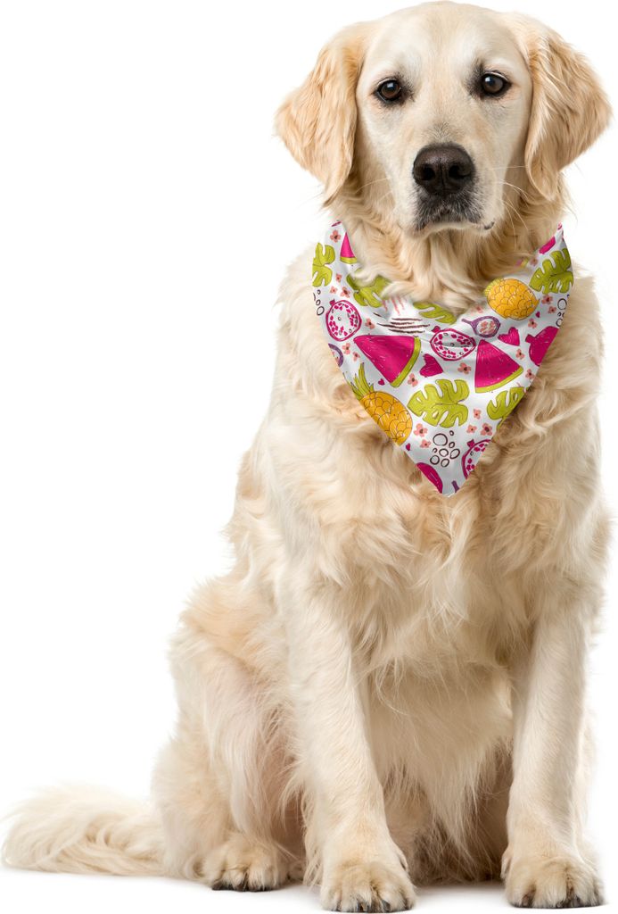 ABAKUHAUS Sommer Haustier Bandana, Doodled Exotische Früchte Blätter, 40x40 cm, rosa-Grün