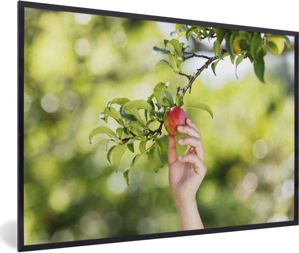 MuchoWow Gerahmtes Poster Obstbäume - Gemüsegarten - Apfel 90x60 cm - Poster mit Schwarzem Bilderrahmen Wandposter Rahmen Foto Bilder - Fotorah...
