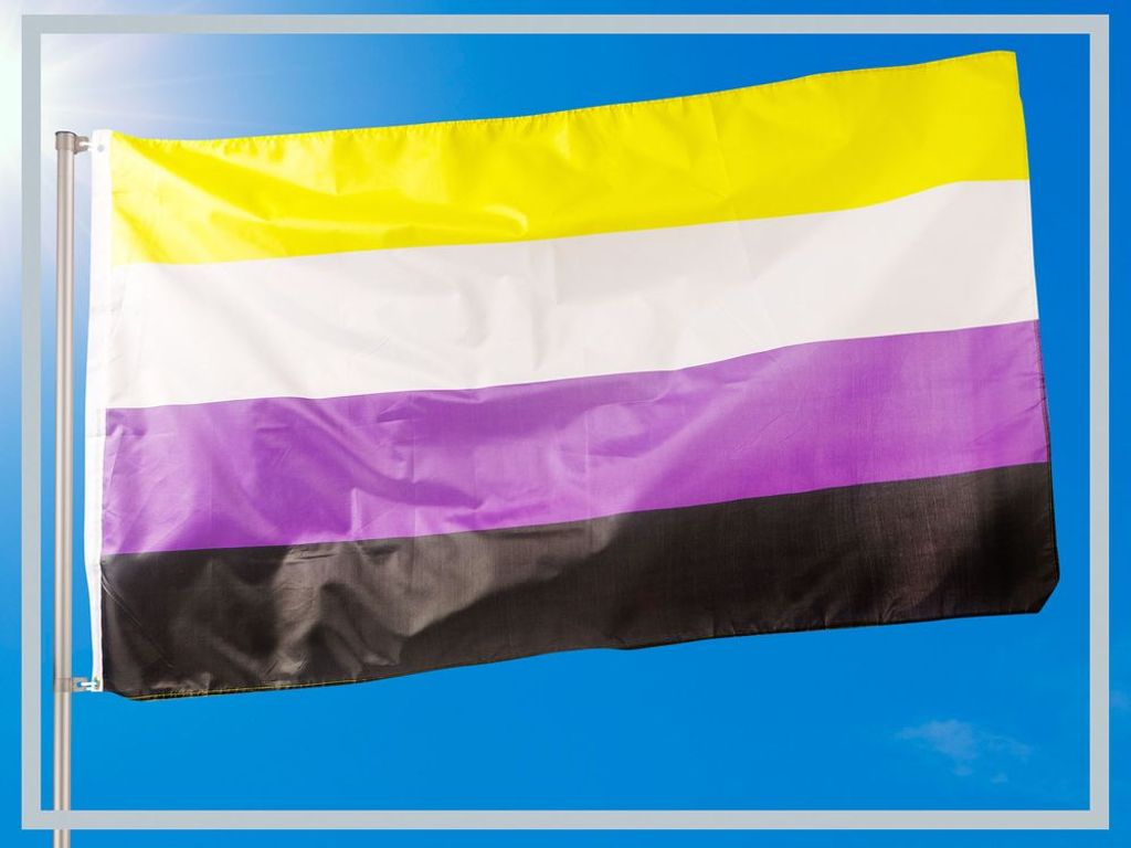PHENO FLAGS Nichtbinär Flagge 90 x 150 cm Nicht Binär Fahne LGBT 2  Metallösen