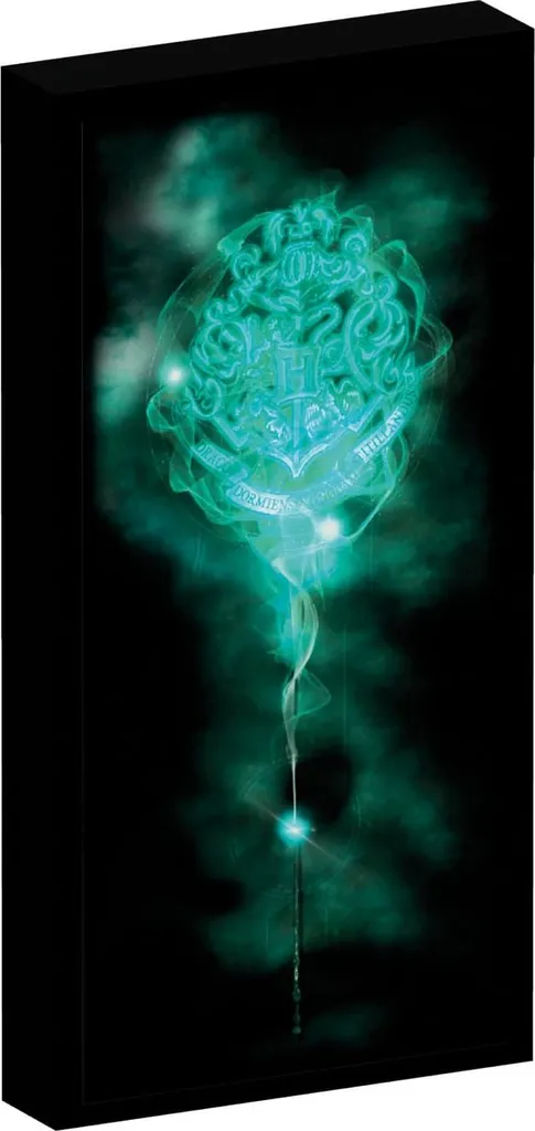 Quadro LED Harry Potter | Poster su Tela Luminoso Hogwarts 30x40