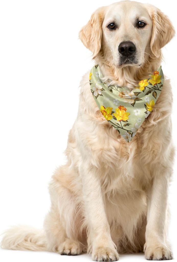 ABAKUHAUS Jahrgang Haustier Bandana, Narcissus Wildblumen, 55x55 cm, Gelb Creme Hellgrün