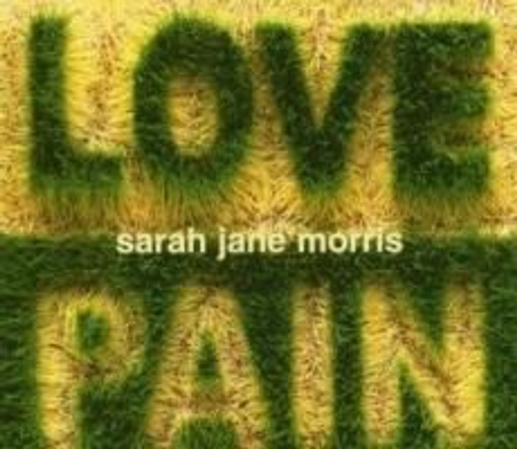 Love And Pain - Morris,Sarah Jane