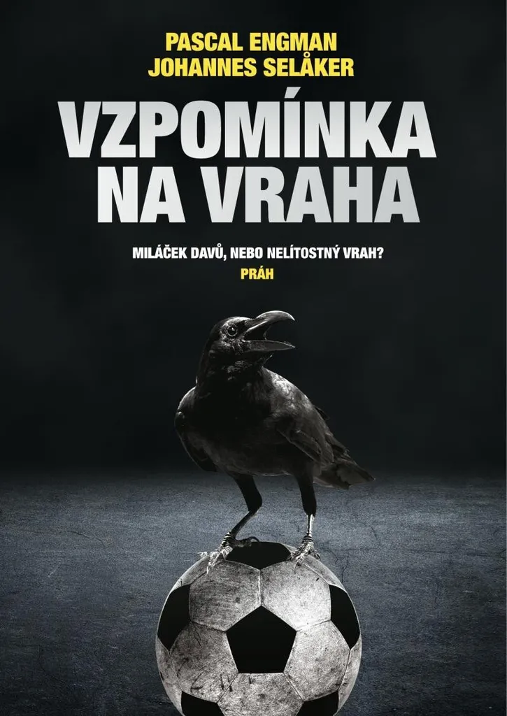 Roman Policier Vzpomínka na vraha : Thriller Psychologique Noir
