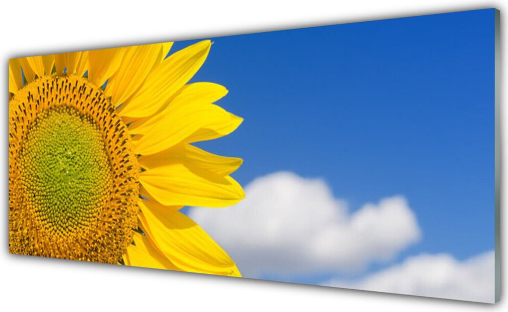 Küchenrückwand aus Glas 125x50cm Spritzschutz Sonnenblume Wolken Pflanzen