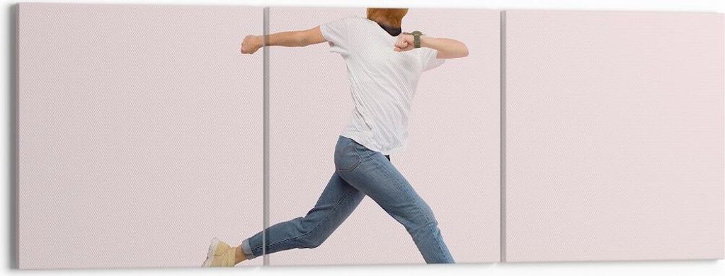 Bild auf Leinwand - Leinwandbild - 3 Teile - Anthropomorphisierung Mensch Ente - 150x50cm - Wand Bild - Wanddeko - Wandbilder - Leinwanddruck - Bil...