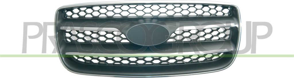 PRASCO HN8162001 Kühlergrill Frontgrill für HYUNDAI SANTA FÉ II (CM)