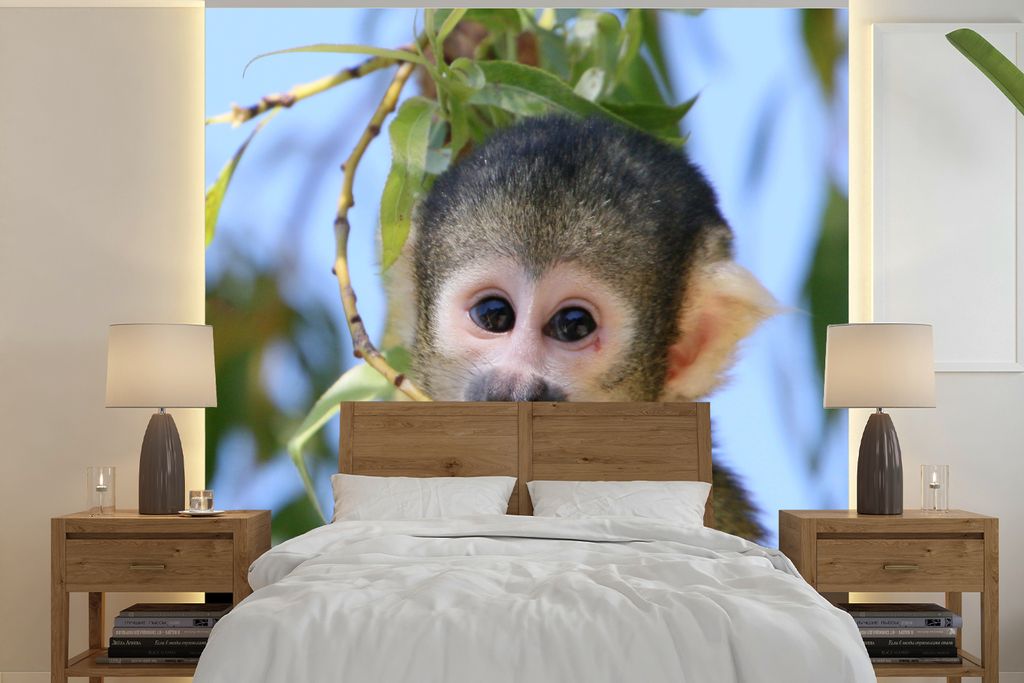 MuchoWow Fototapete für Wohnzimmer oder Schlafzimmer Wandtapete Vinyl Motivtapete Totenkopfäffchen kaut auf einem Ast - 300x300 cm - Wanddekora...