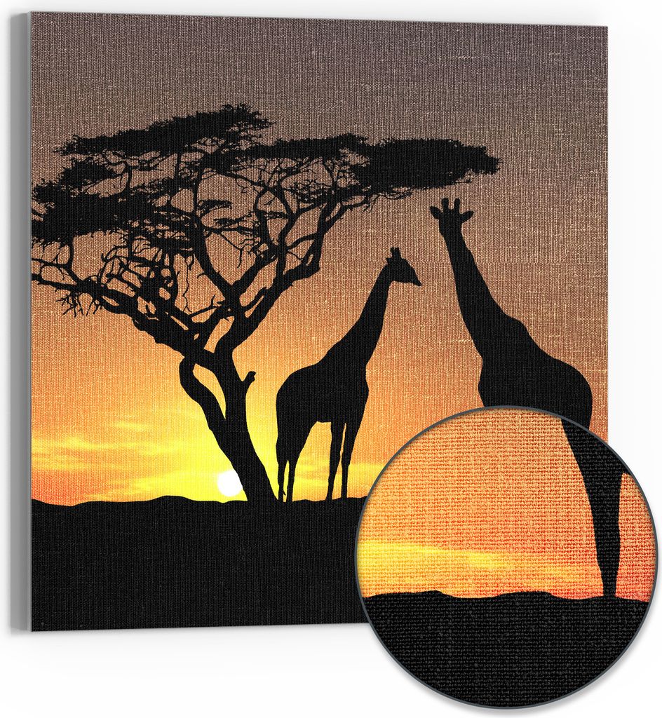 DEQORI Hybrid Leinwand Bild 30x30 cm 'Afrikanische Eleganz' Wandbild Glas flach modern