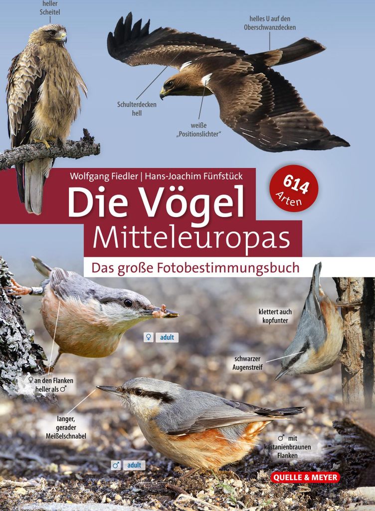 Die Vögel Mitteleuropas