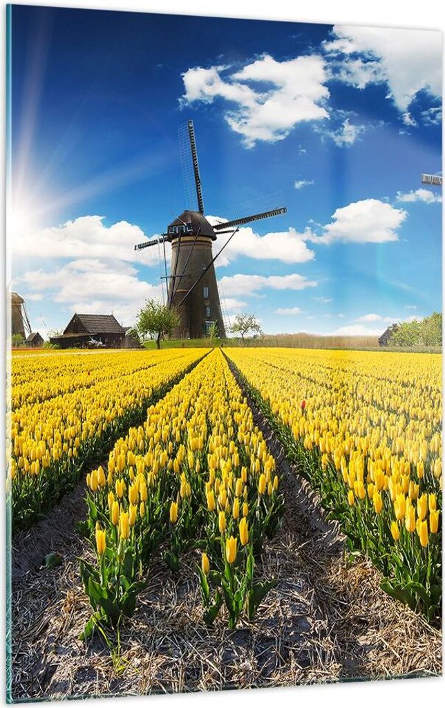 Bilder auf glas - Einteilig - Tulpen Windmühle Wiese Landschaft - 50x70cm - Glasbilder - Wandbilder - Bilder - Wanddekoration aus Glas - Glas Bild...