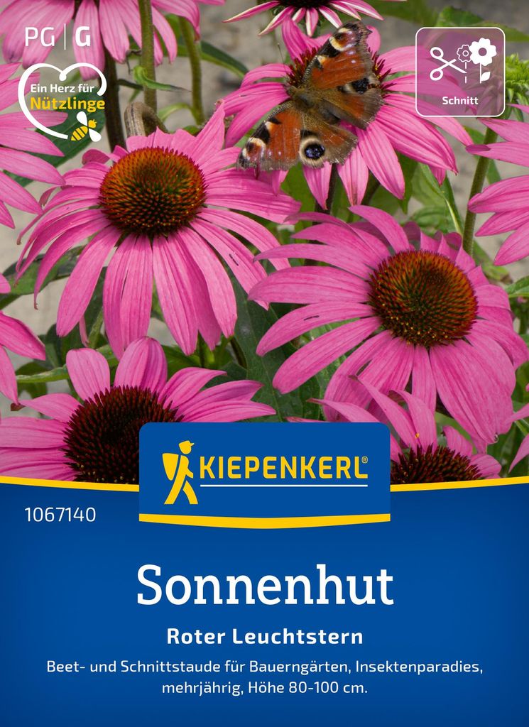 Kiepenkerl Sonnenhutsamen Roter Leuchtstern Echinacea Produktbild 